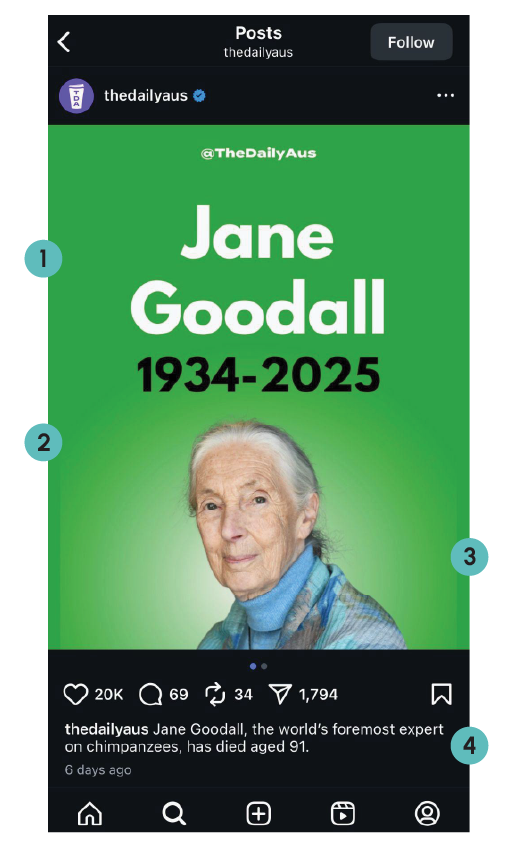 The Daily Aus screenshot 1